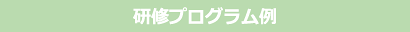 研修プログラム例